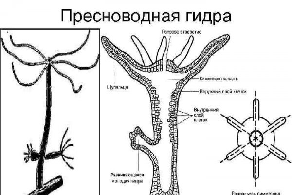 Наркошоп кракен